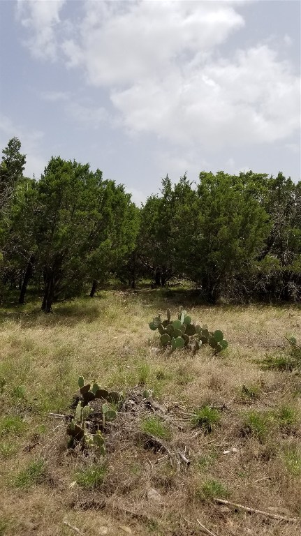 Tbd Harbour Town Drive Graford TX 76449