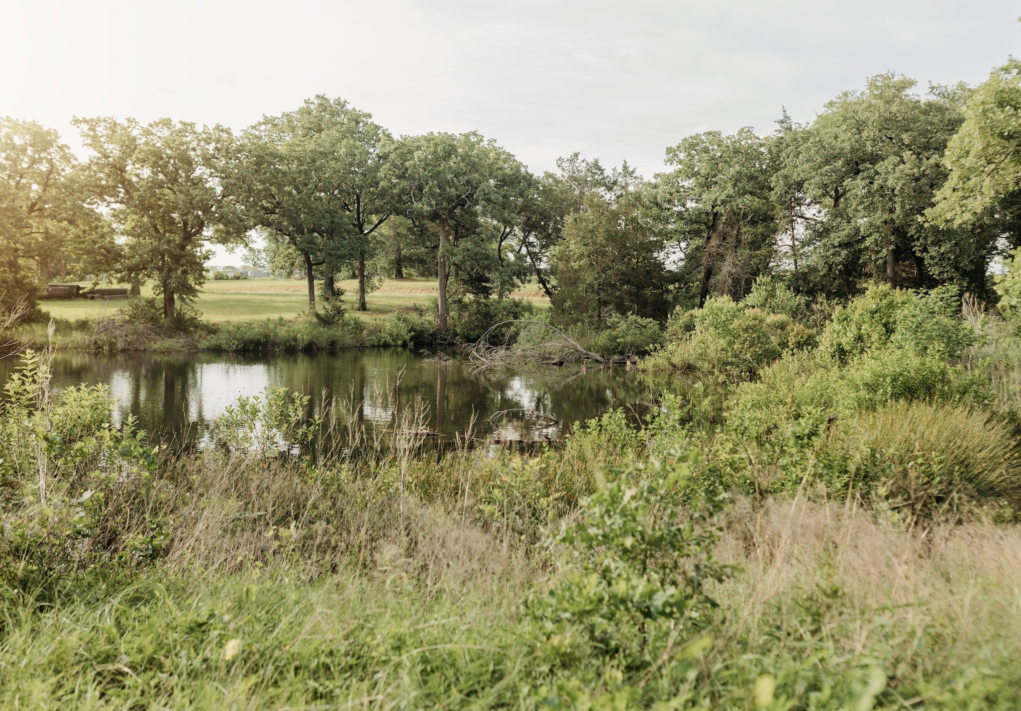 137 Yucatan Village Court Gordonville TX 76245