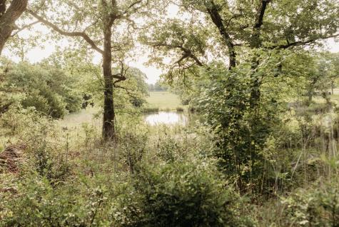 137 Yucatan Village Court Gordonville TX 76245