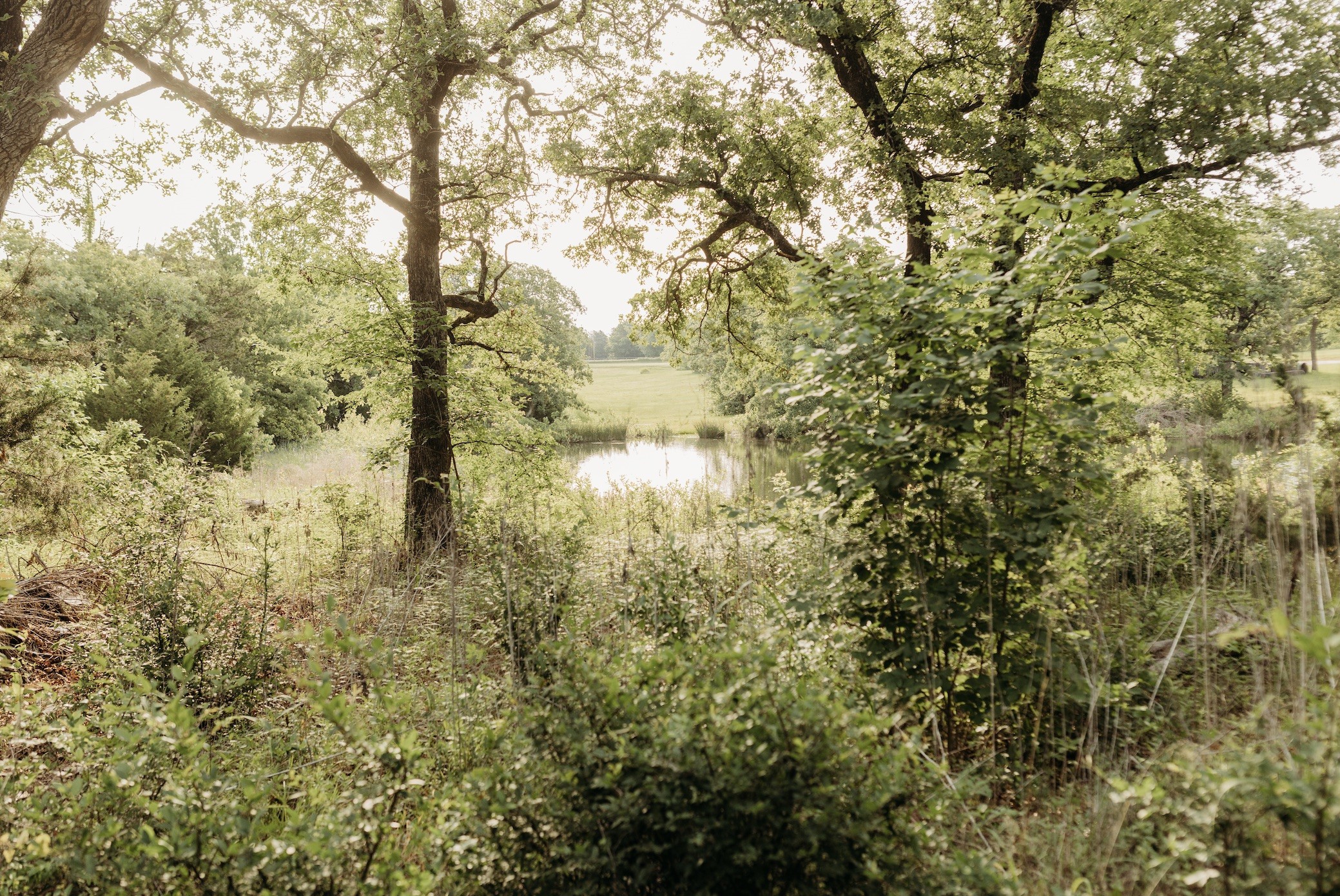 137 Yucatan Village Court Gordonville TX 76245