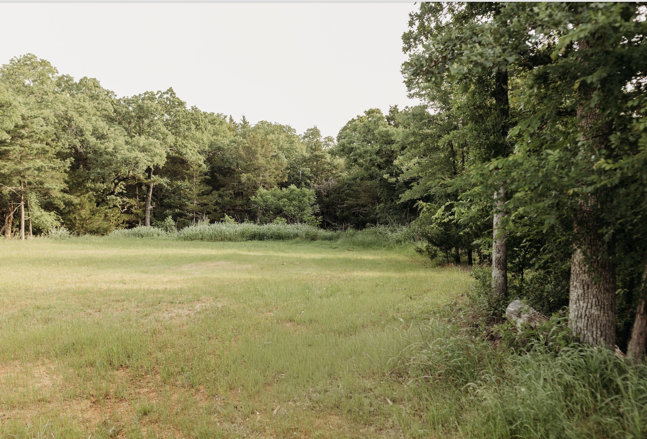 137 Yucatan Village Court Gordonville TX 76245