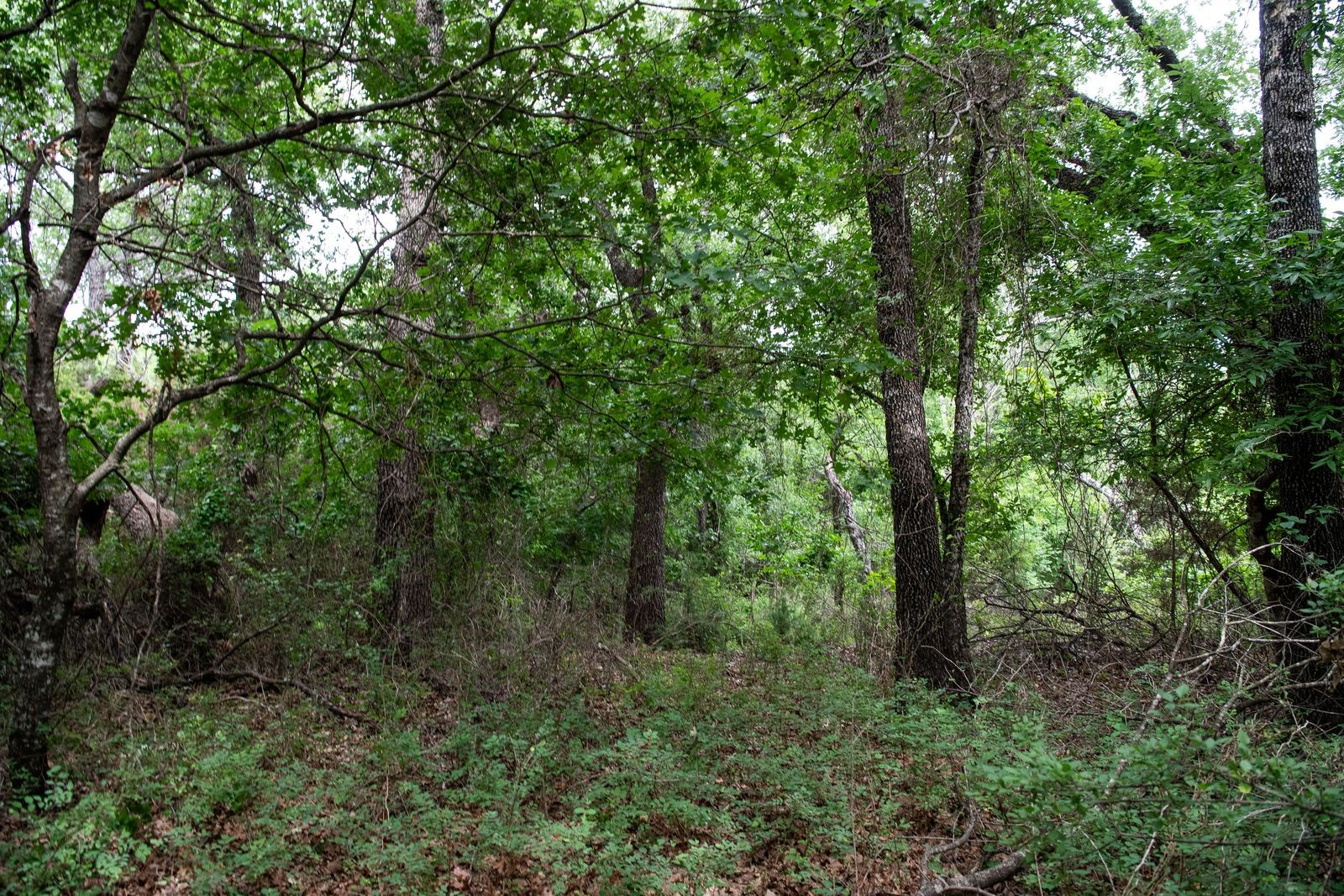 Tbd Latigo Way Weatherford TX 76088