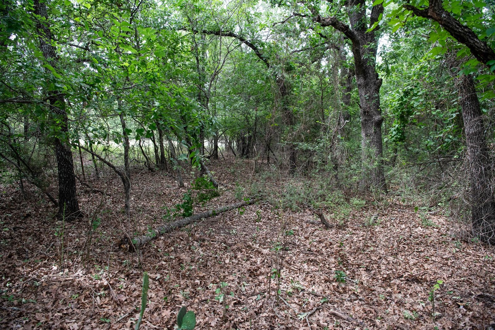 Tbd Latigo Way Weatherford TX 76088