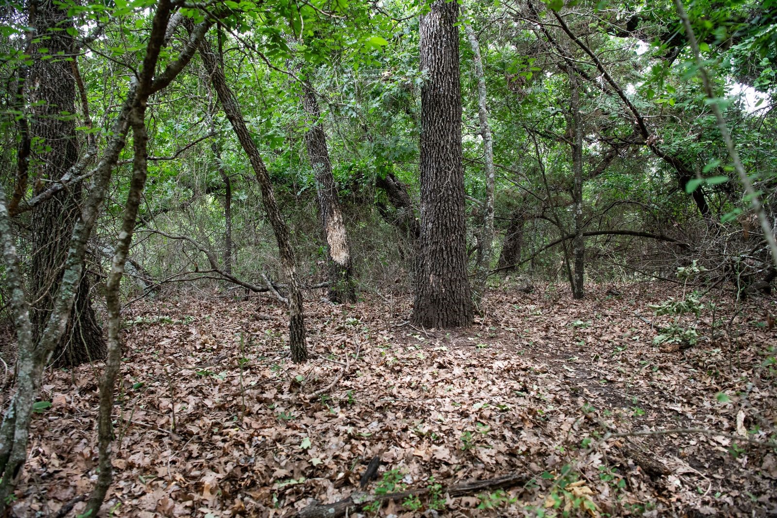 Tbd Latigo Way Weatherford TX 76088