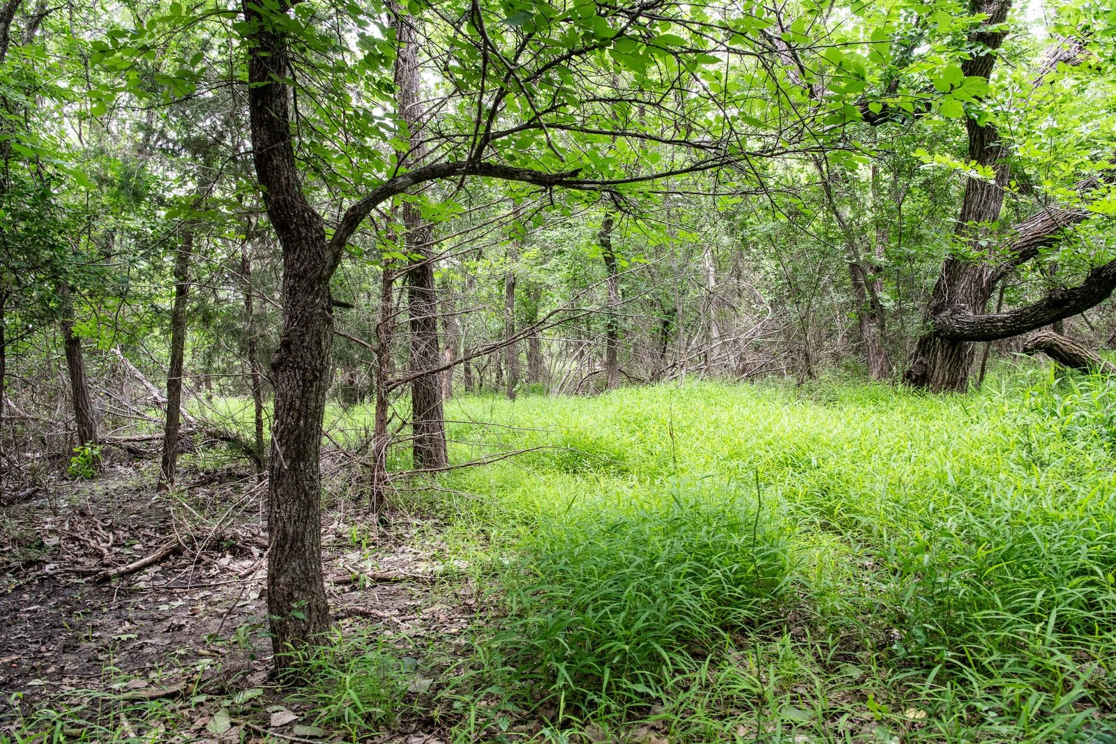 Tbd Latigo Way Weatherford TX 76088