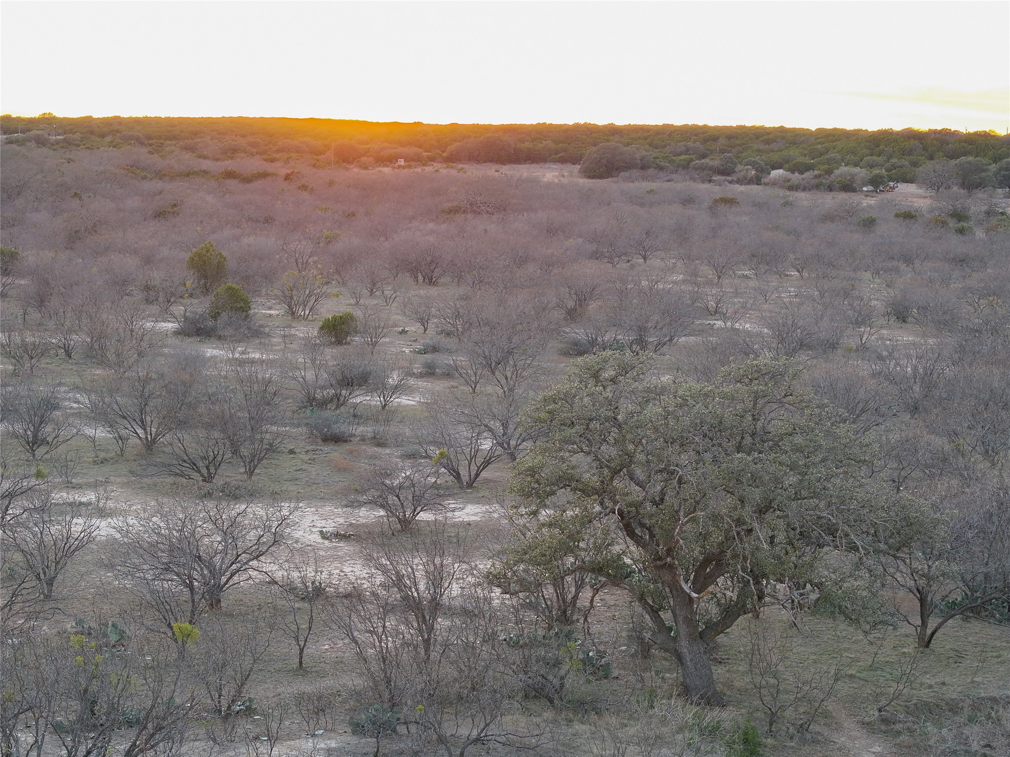322 County Road 494 Novice TX 79538