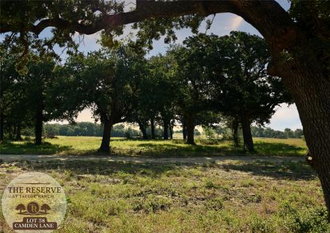 Lot 58 Camden Lane Springtown TX 76082