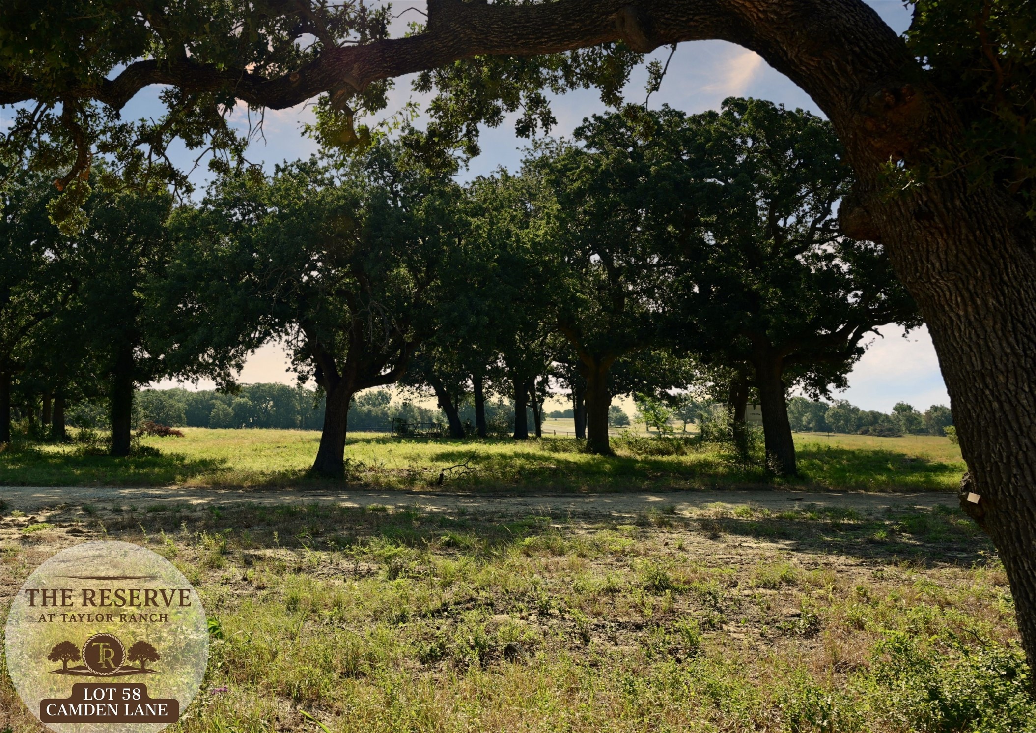 Lot 58 Camden Lane Springtown TX 76082