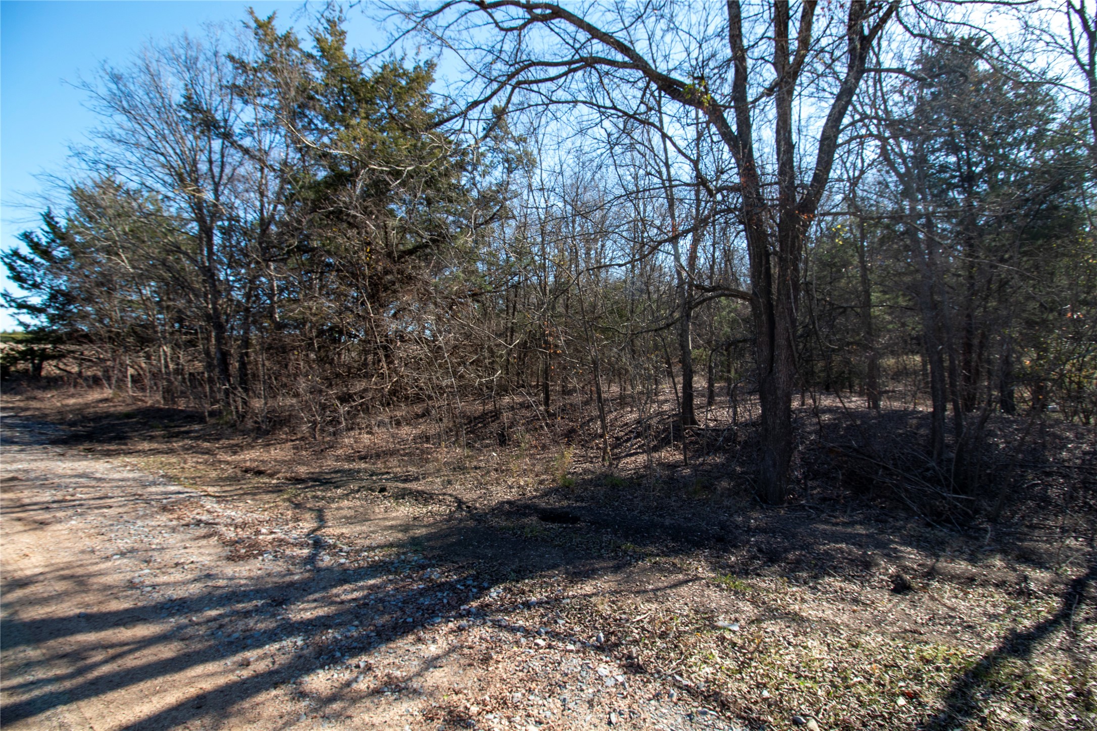 Lot 7 County Road 2905 Dodd City TX 75438