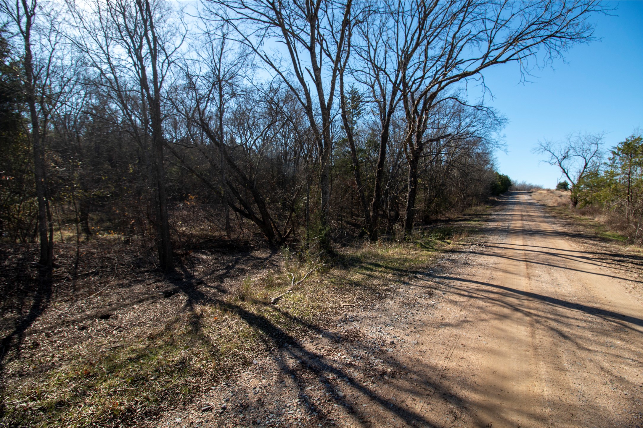 Lot 7 County Road 2905 Dodd City TX 75438