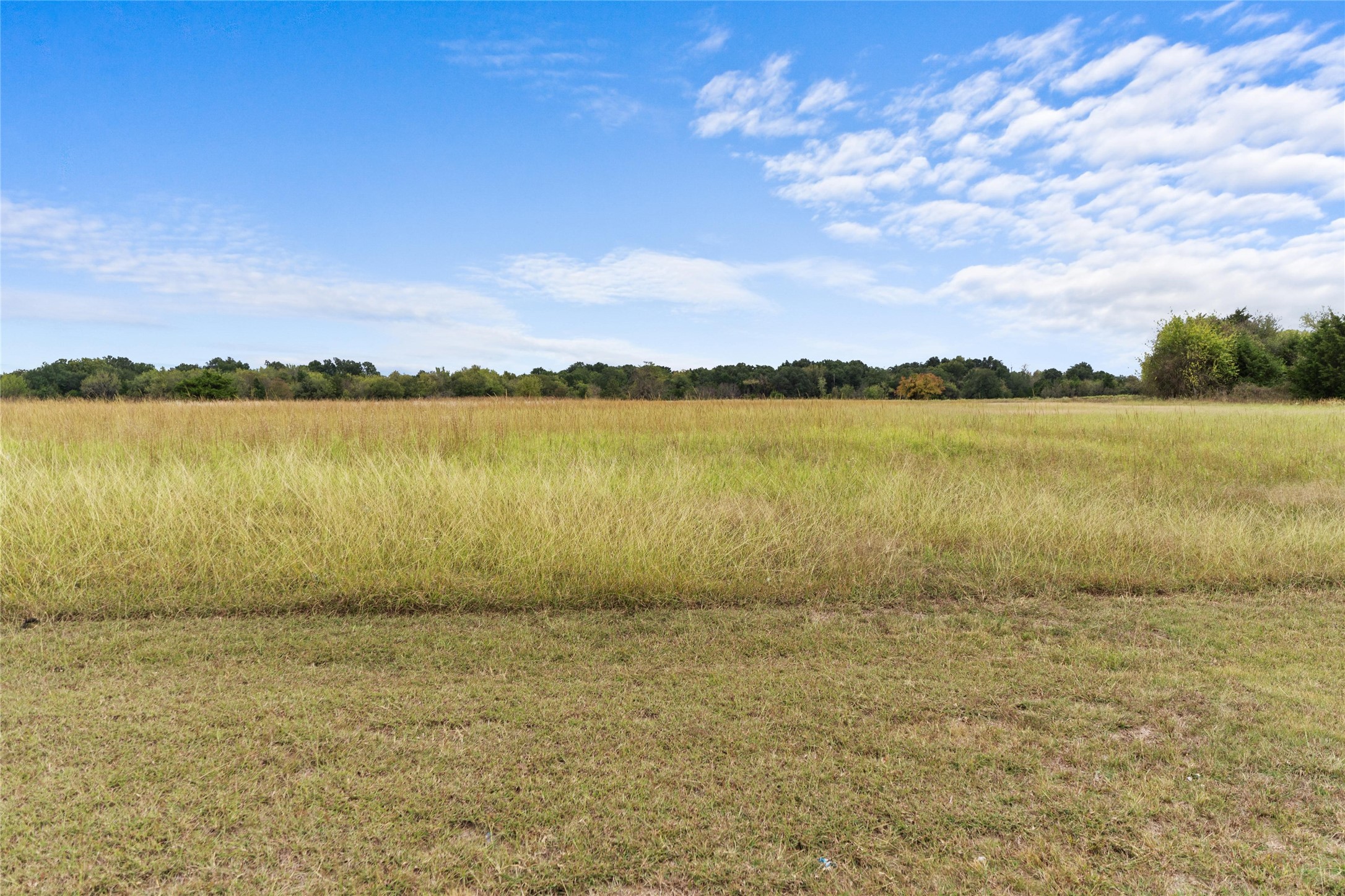 Tbd Fm-36 Farmersville TX 75442