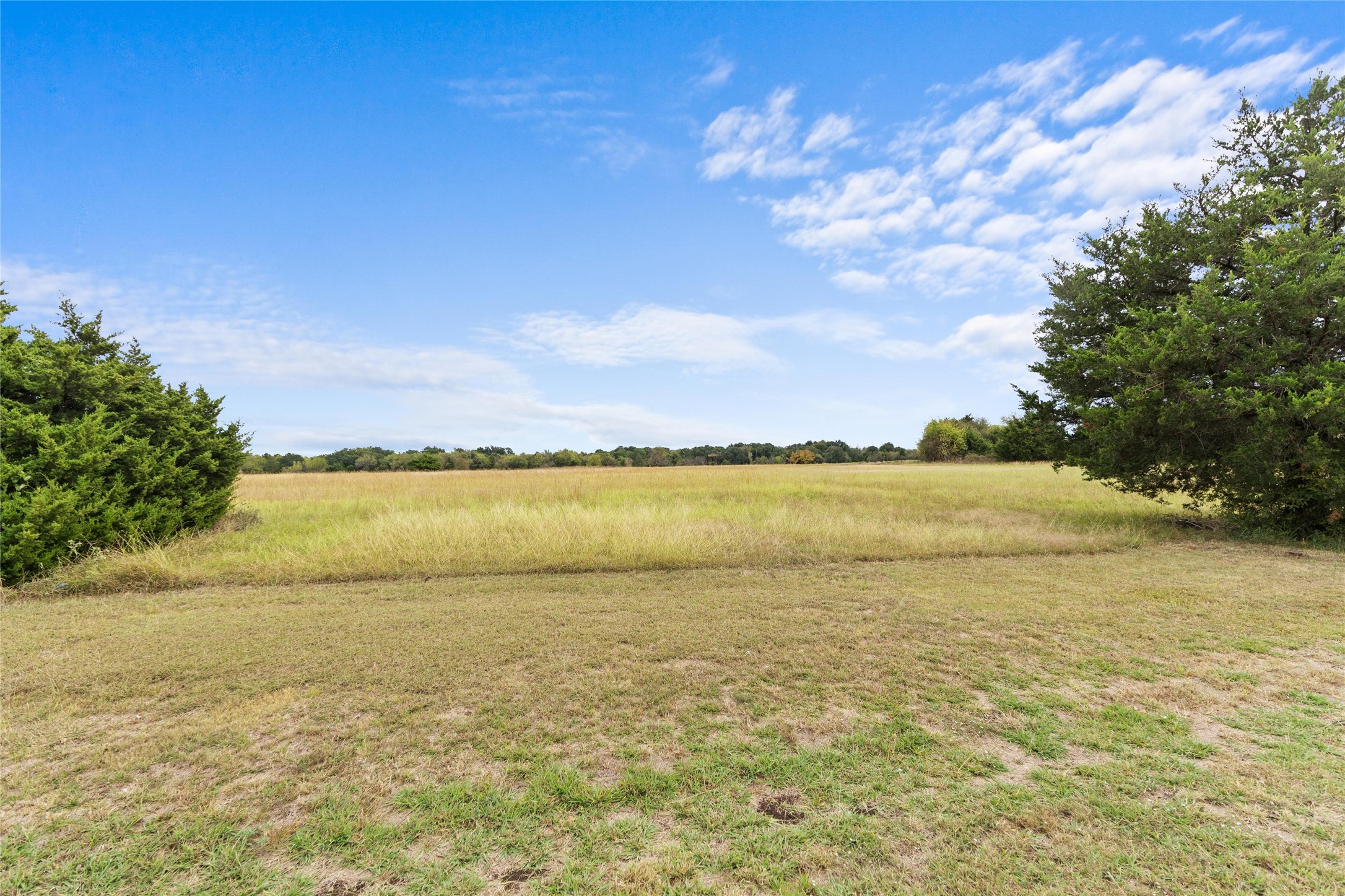 Tbd Fm-36 Farmersville TX 75442