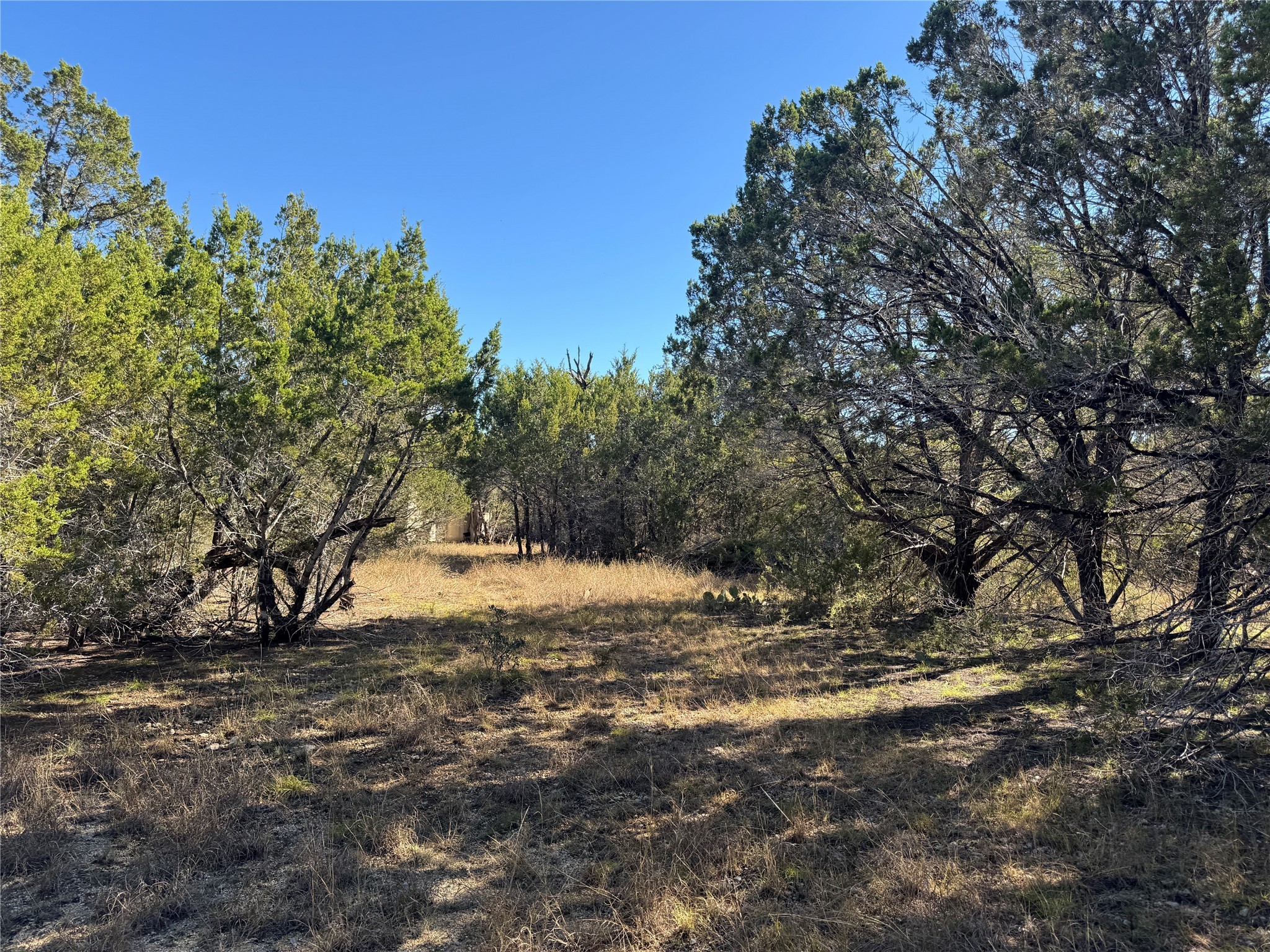 Tbd Cr 304 Road Bertram TX 78605