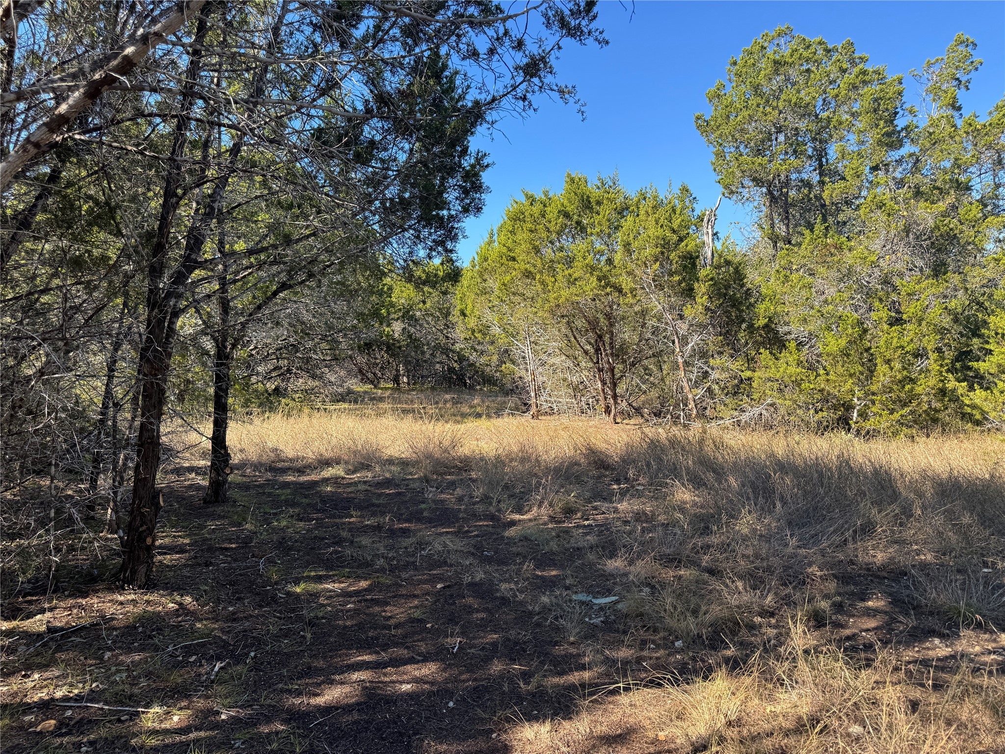Tbd Cr 304 Road Bertram TX 78605
