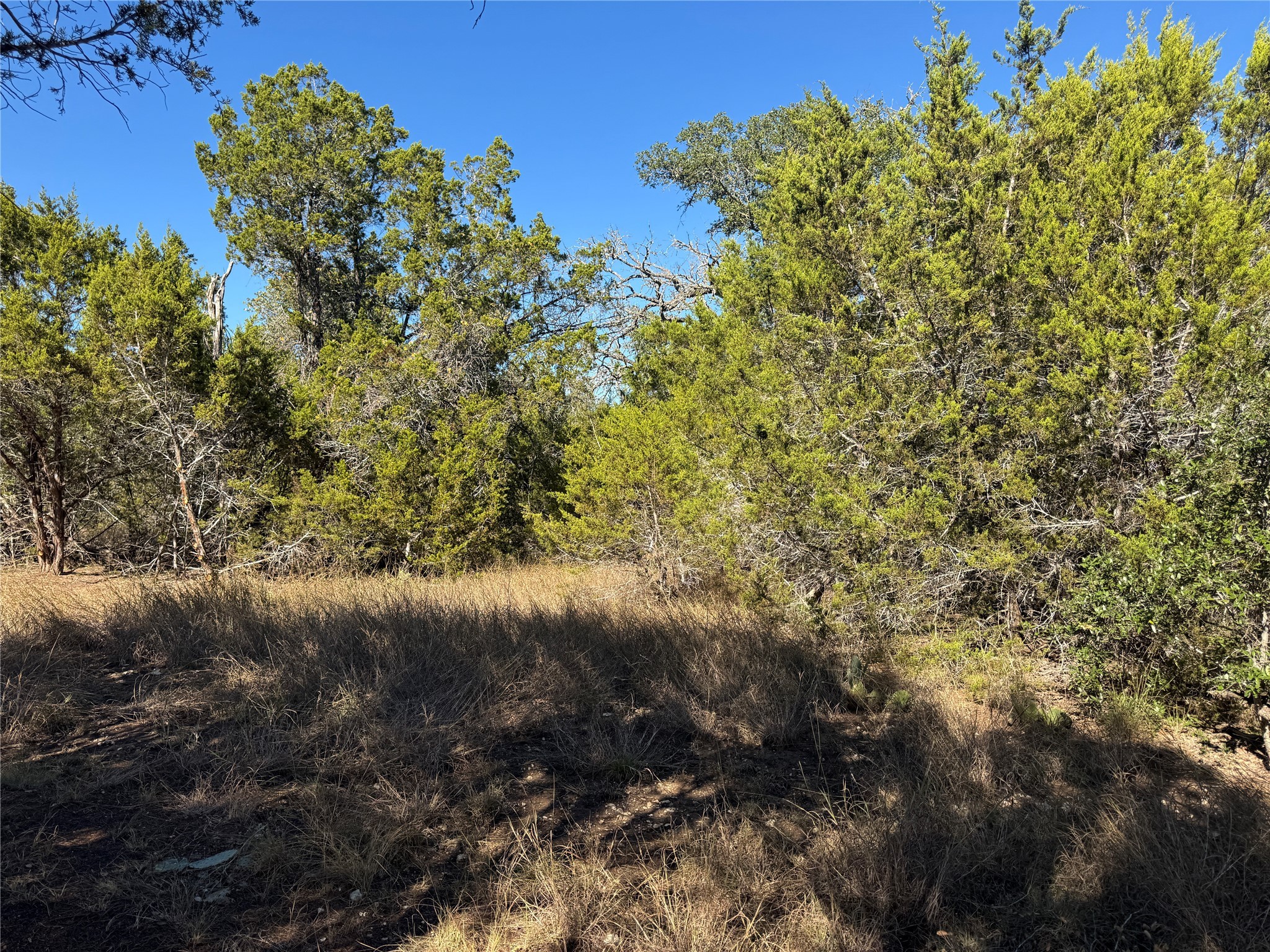 Tbd Cr 304 Road Bertram TX 78605
