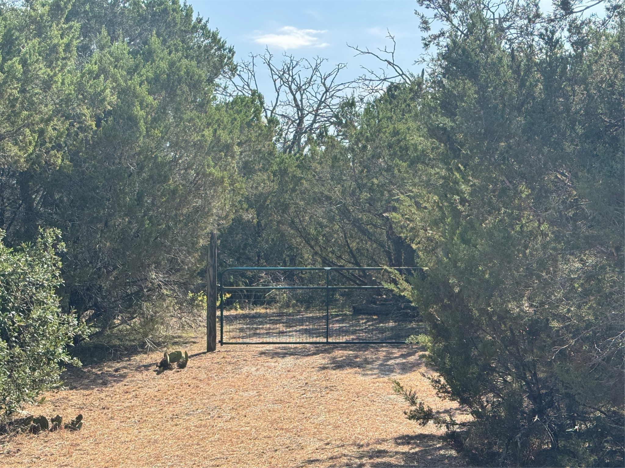 Tbd Cr 304 Road Bertram TX 78605