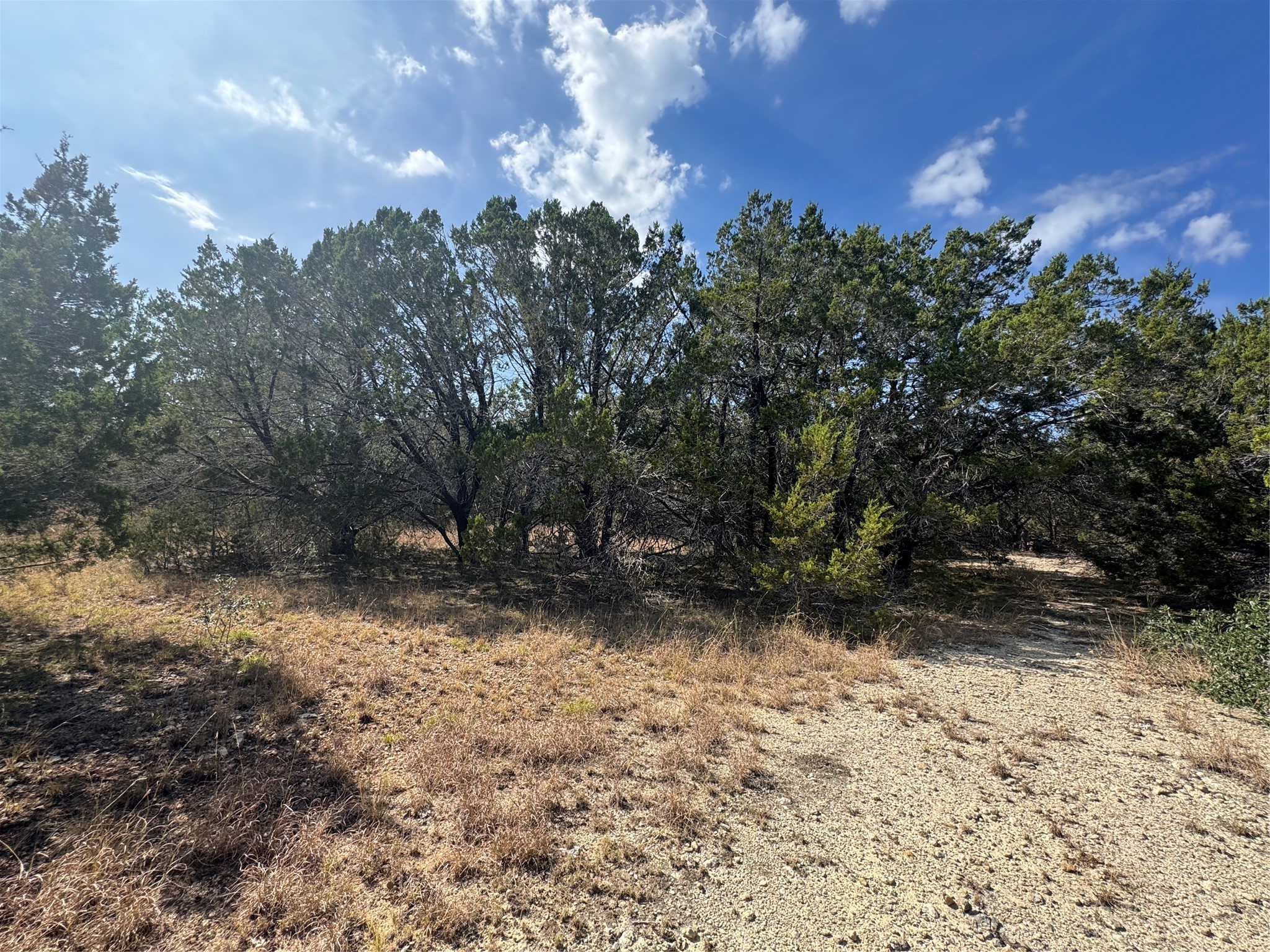 Tbd Cr 304 Road Bertram TX 78605