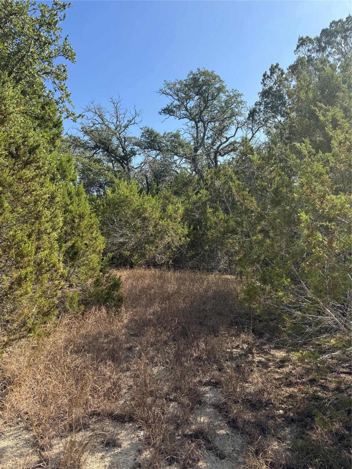 Tbd Cr 304 Road Bertram TX 78605
