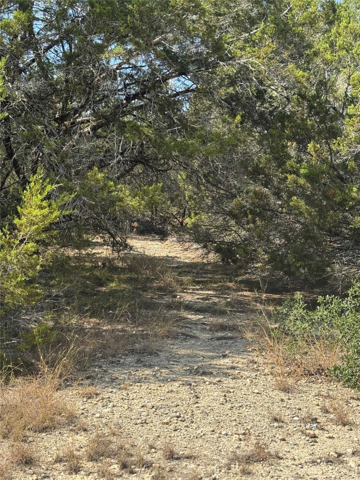 Tbd Cr 304 Road Bertram TX 78605