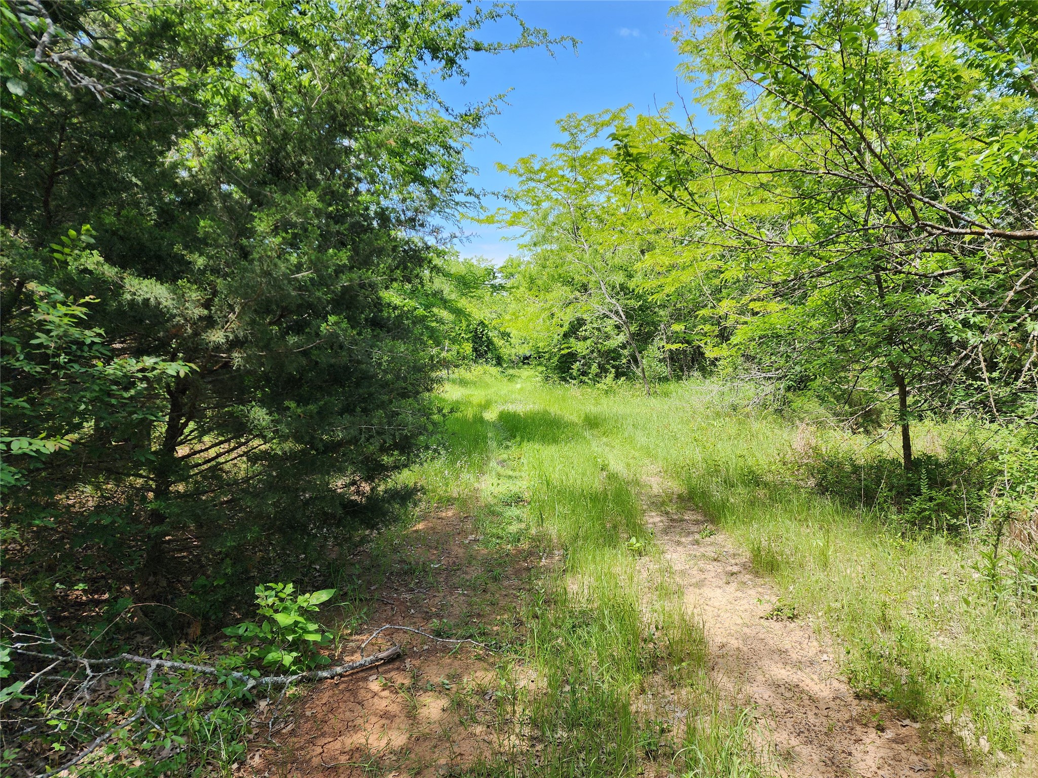 0000 W Interstate Highway 30 Sulphur Springs TX 75482
