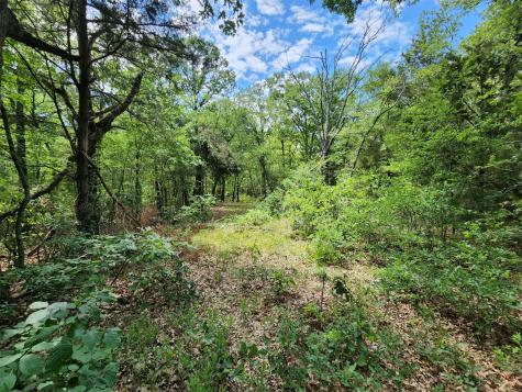 0000 W Interstate Highway 30 Sulphur Springs TX 75482