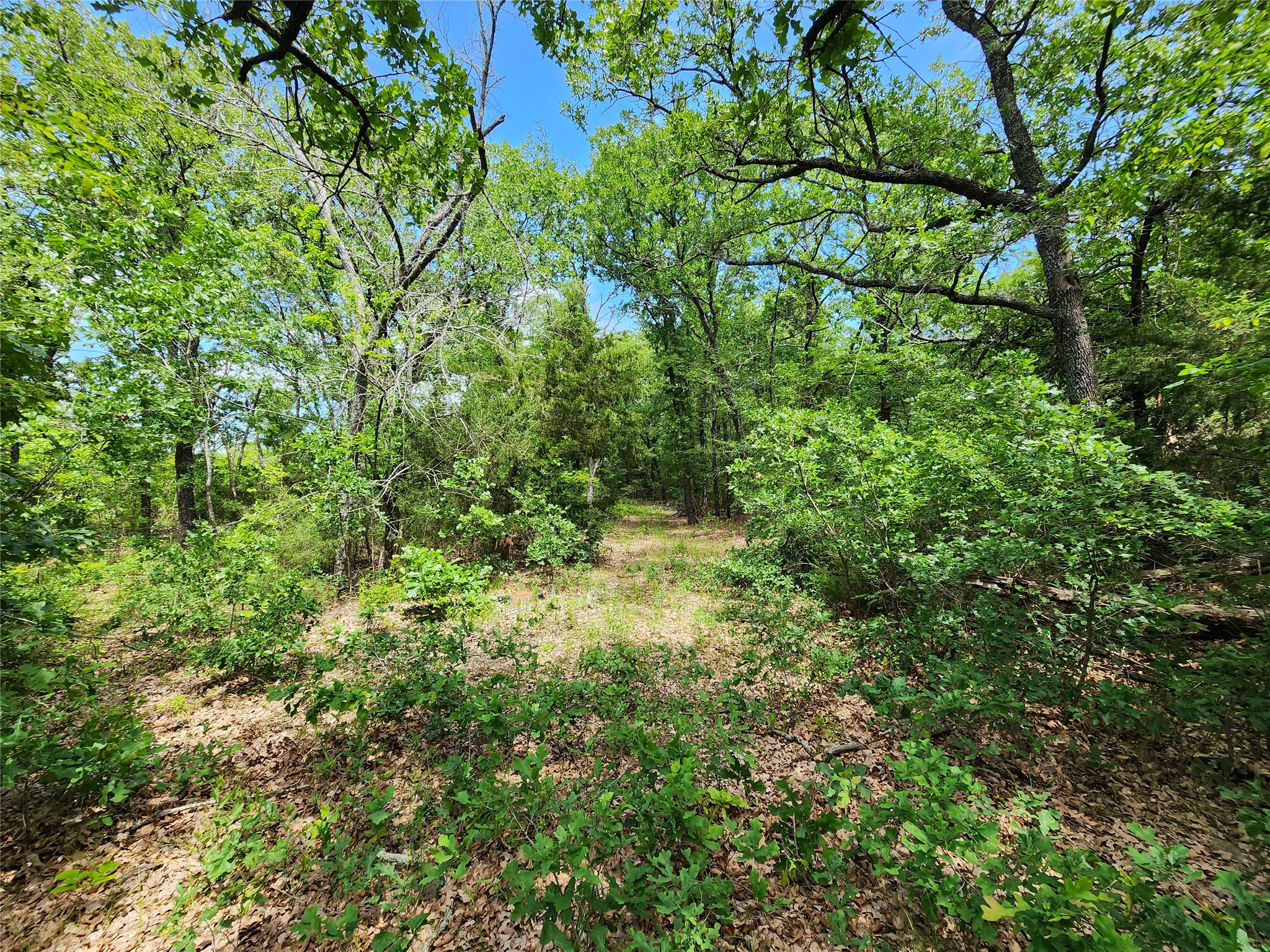 0000 W Interstate Highway 30 Sulphur Springs TX 75482