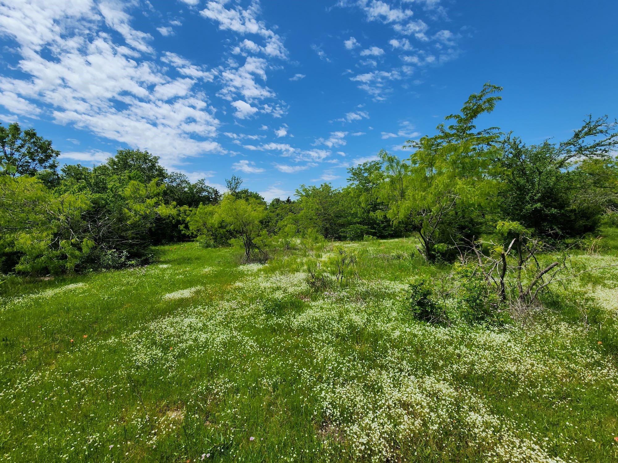 0000 W Interstate Highway 30 Sulphur Springs TX 75482