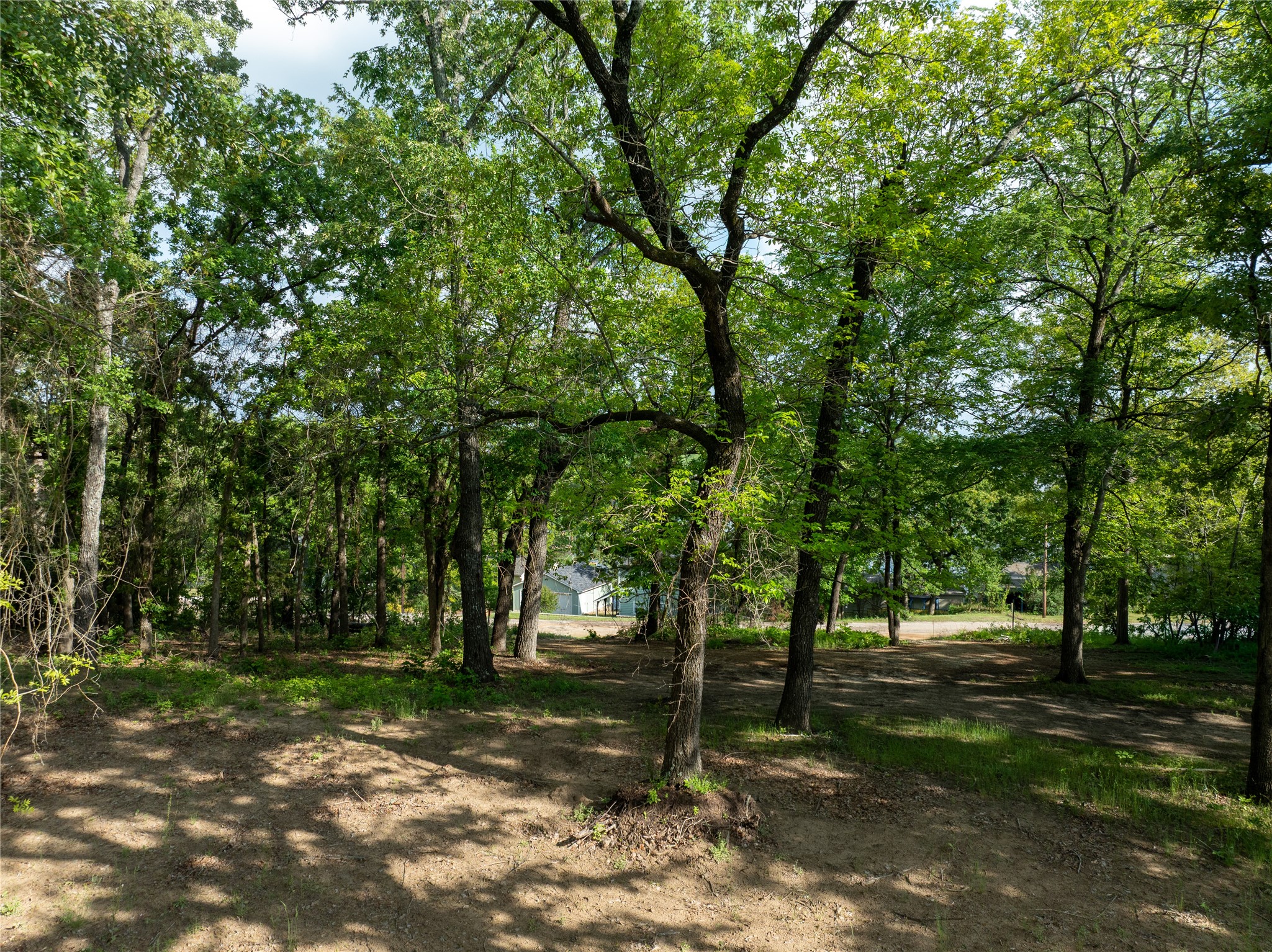 175 North Lake Drive Murchison TX 75778