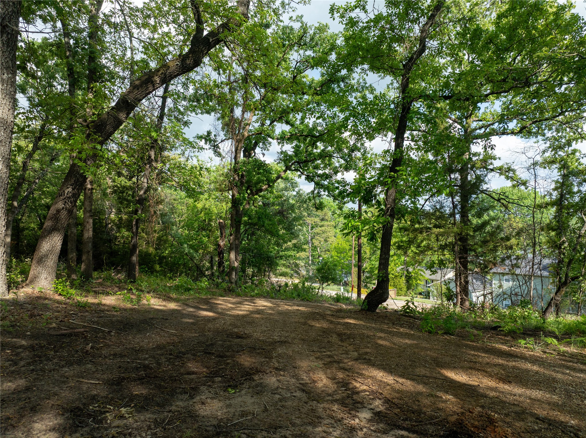 175 North Lake Drive Murchison TX 75778