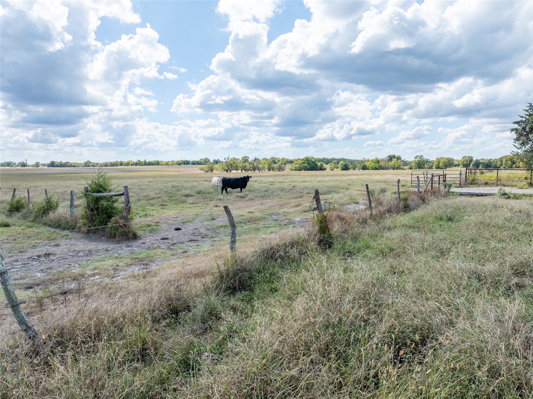 00 Cr 15240 Blossom TX 75416
