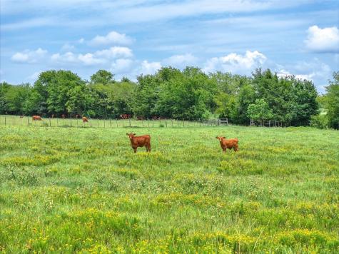 Tract 10 Cr 3415 Jacksonville TX 75766