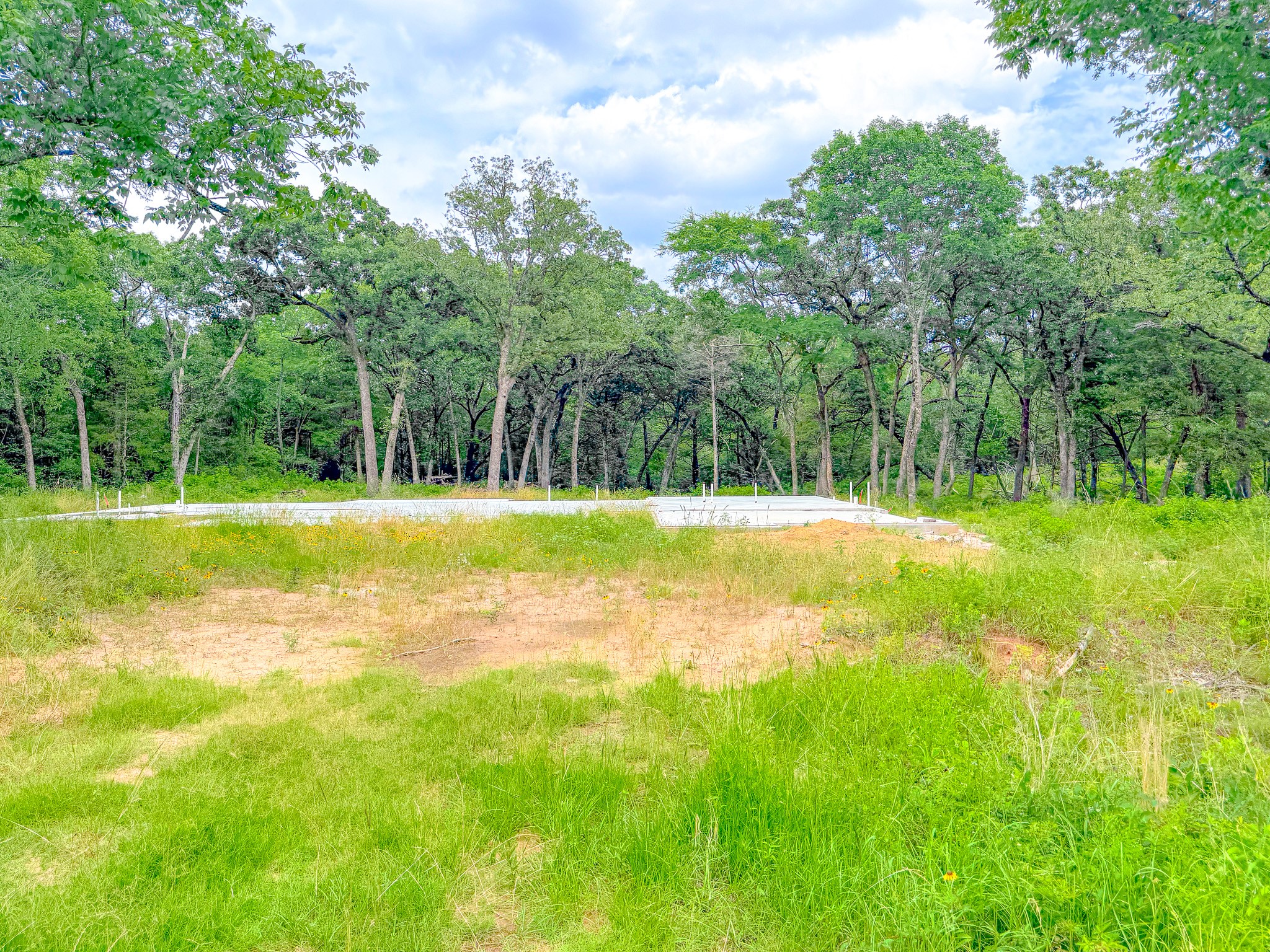 Lot 140 Shenandoah Drive Streetman TX 75859