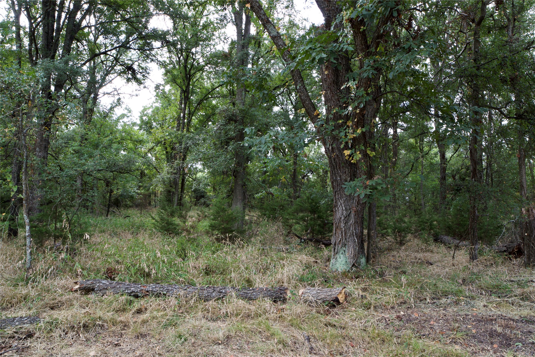 Tbd Garner Adell Road Weatherford TX 76088