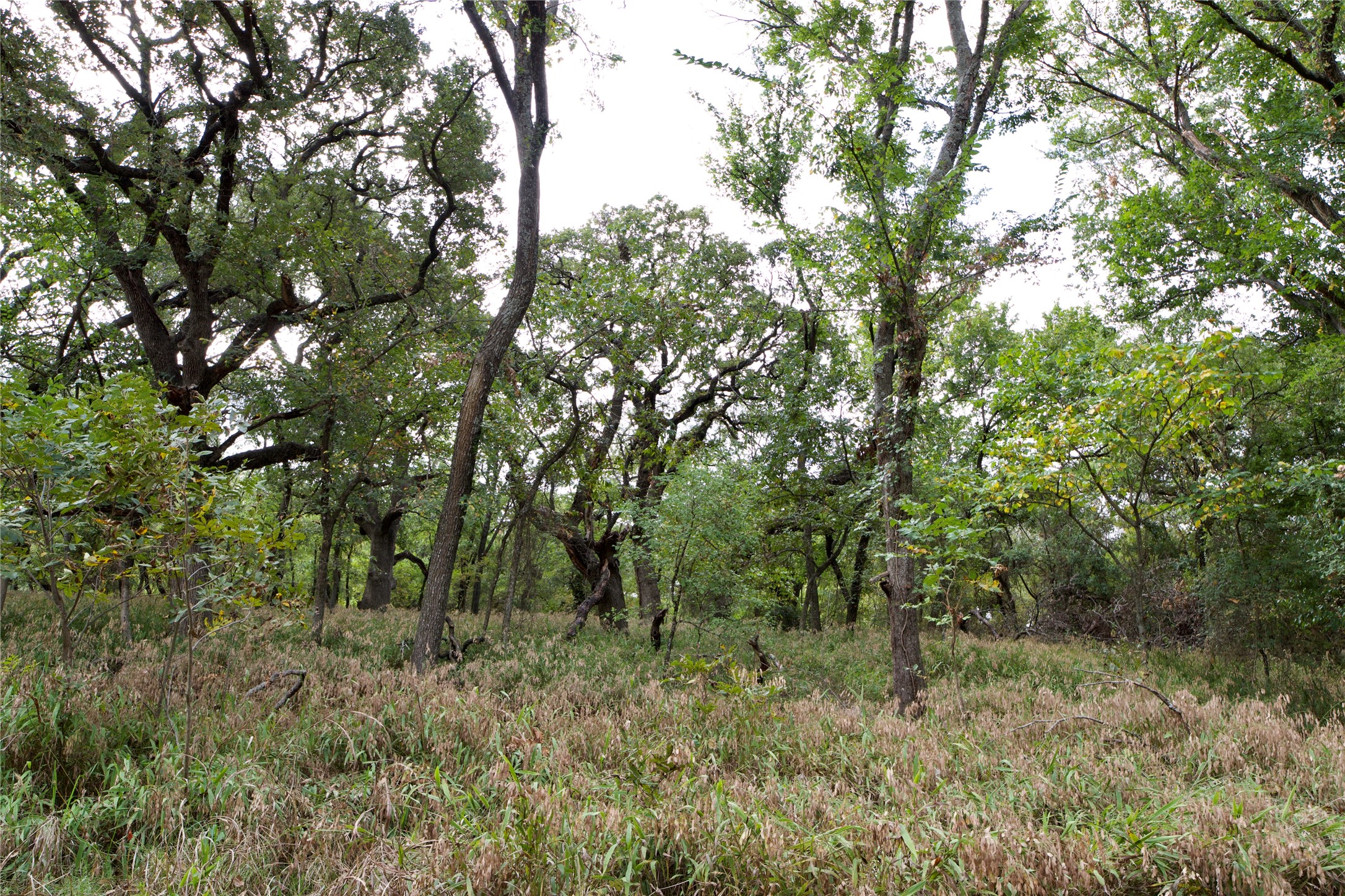 Tbd Garner Adell Road Weatherford TX 76088
