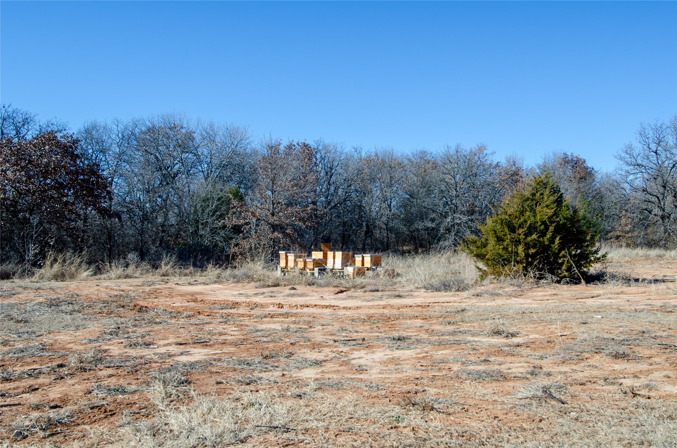 268 Private Road 3427 Bridgeport TX 76426