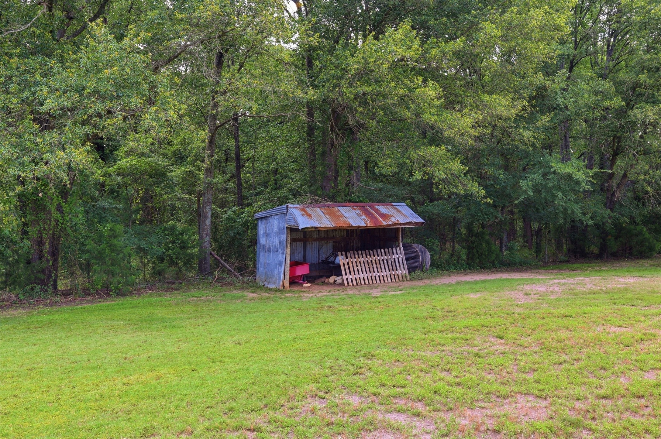 1663 County Road 1405 Bogata TX 75417