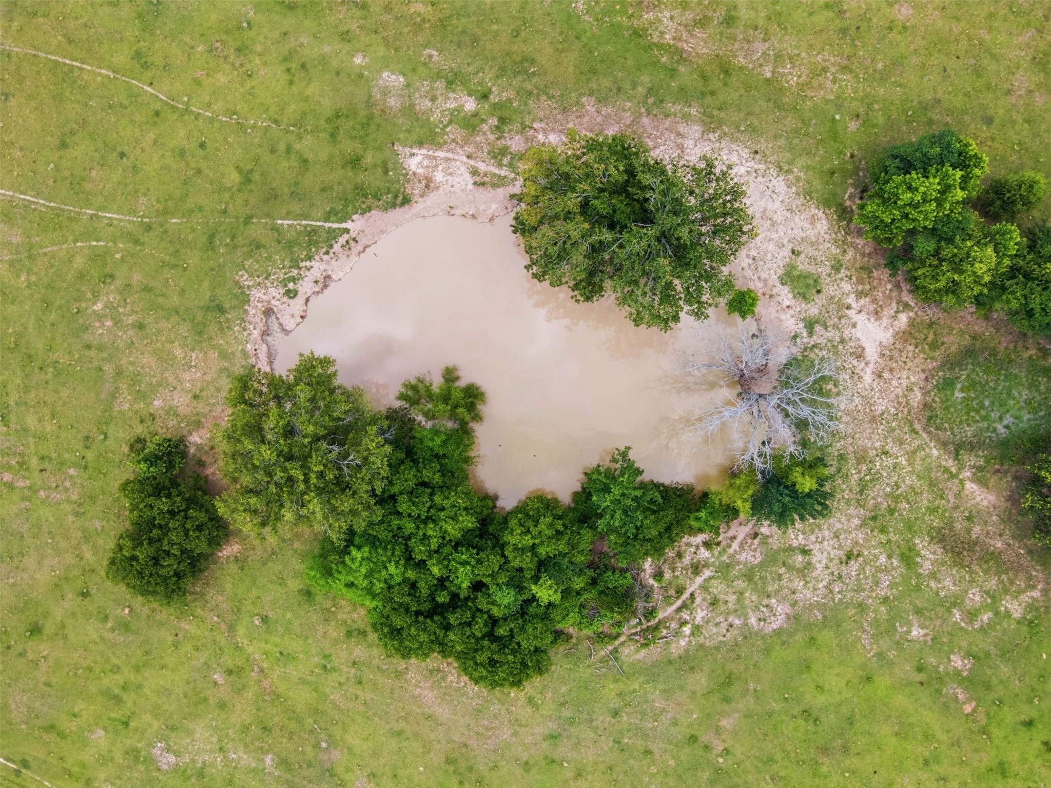 1663 County Road 1405 Bogata TX 75417