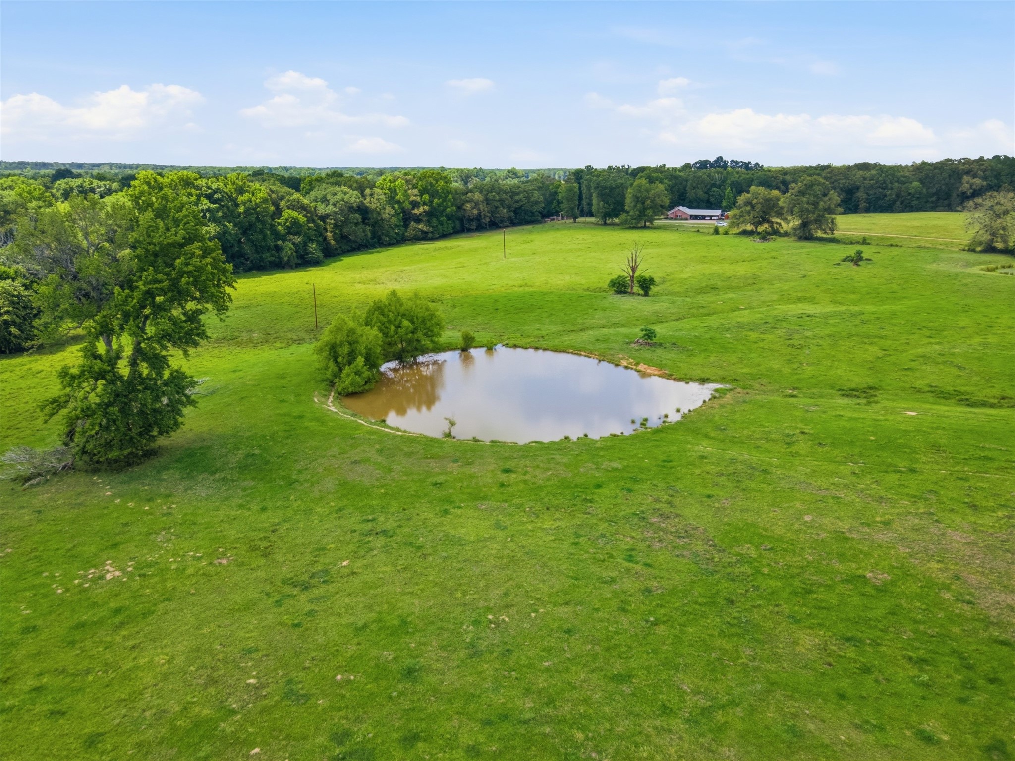 1663 County Road 1405 Bogata TX 75417