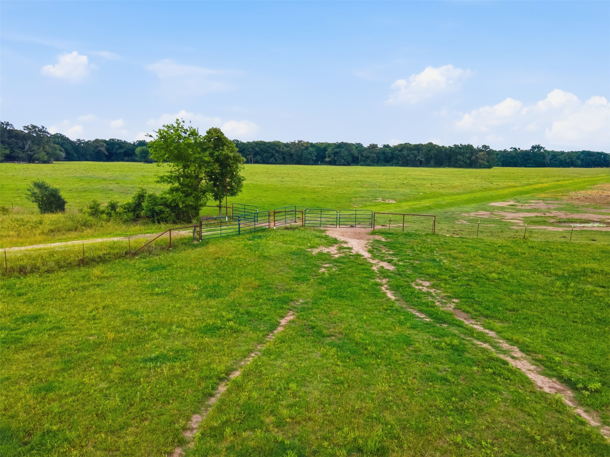1663 County Road 1405 Bogata TX 75417