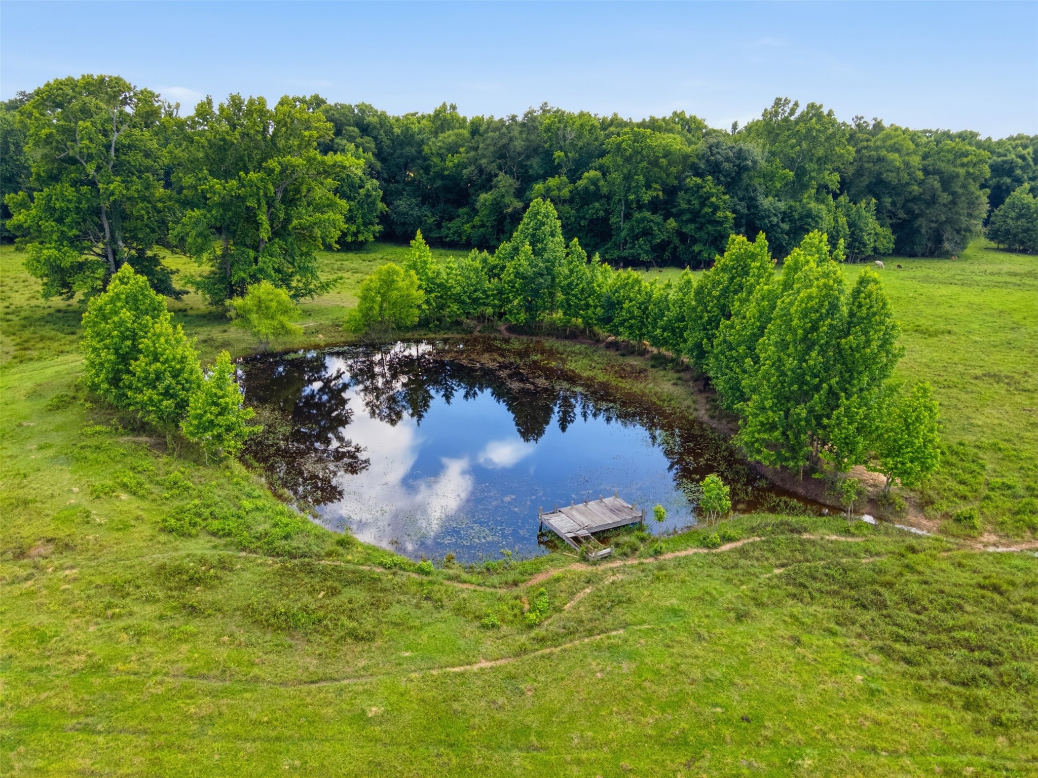 1663 County Road 1405 Bogata TX 75417