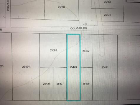 456 Cougar Drive Buna TX 77612