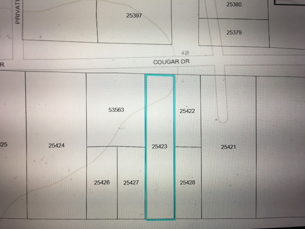 456 Cougar Drive Buna TX 77612