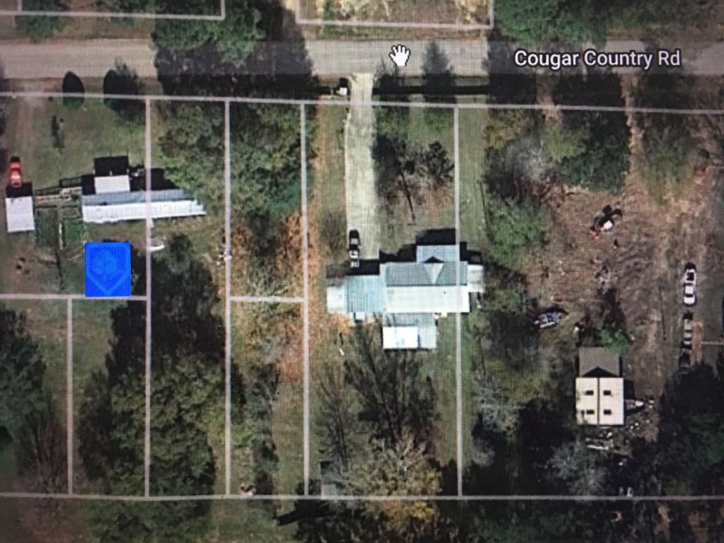 456 Cougar Drive Buna TX 77612