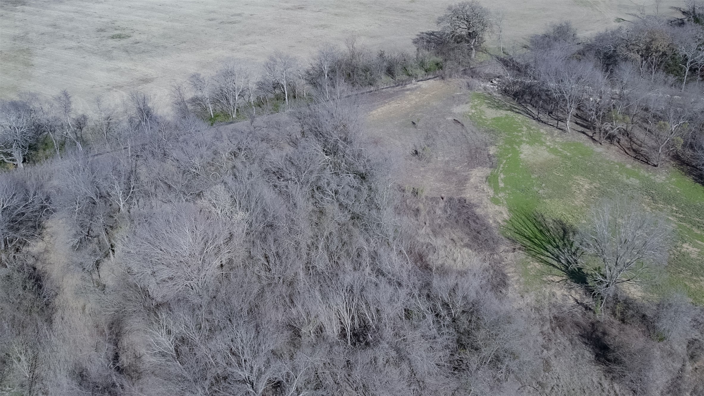 1665 Private Burleson TX 76028