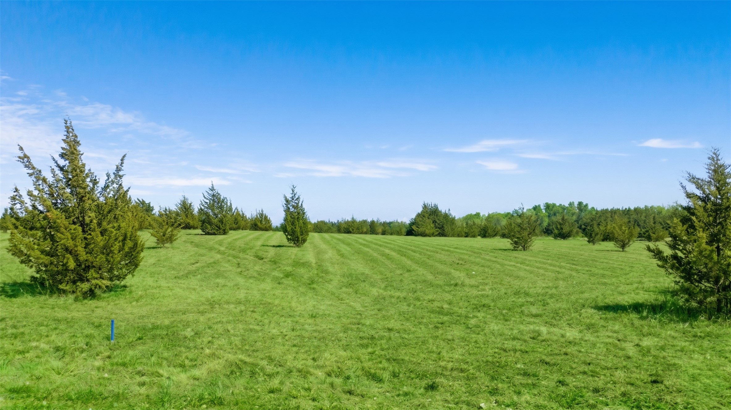 Tbd Lot 2 County Road 43380 Paris TX 75462