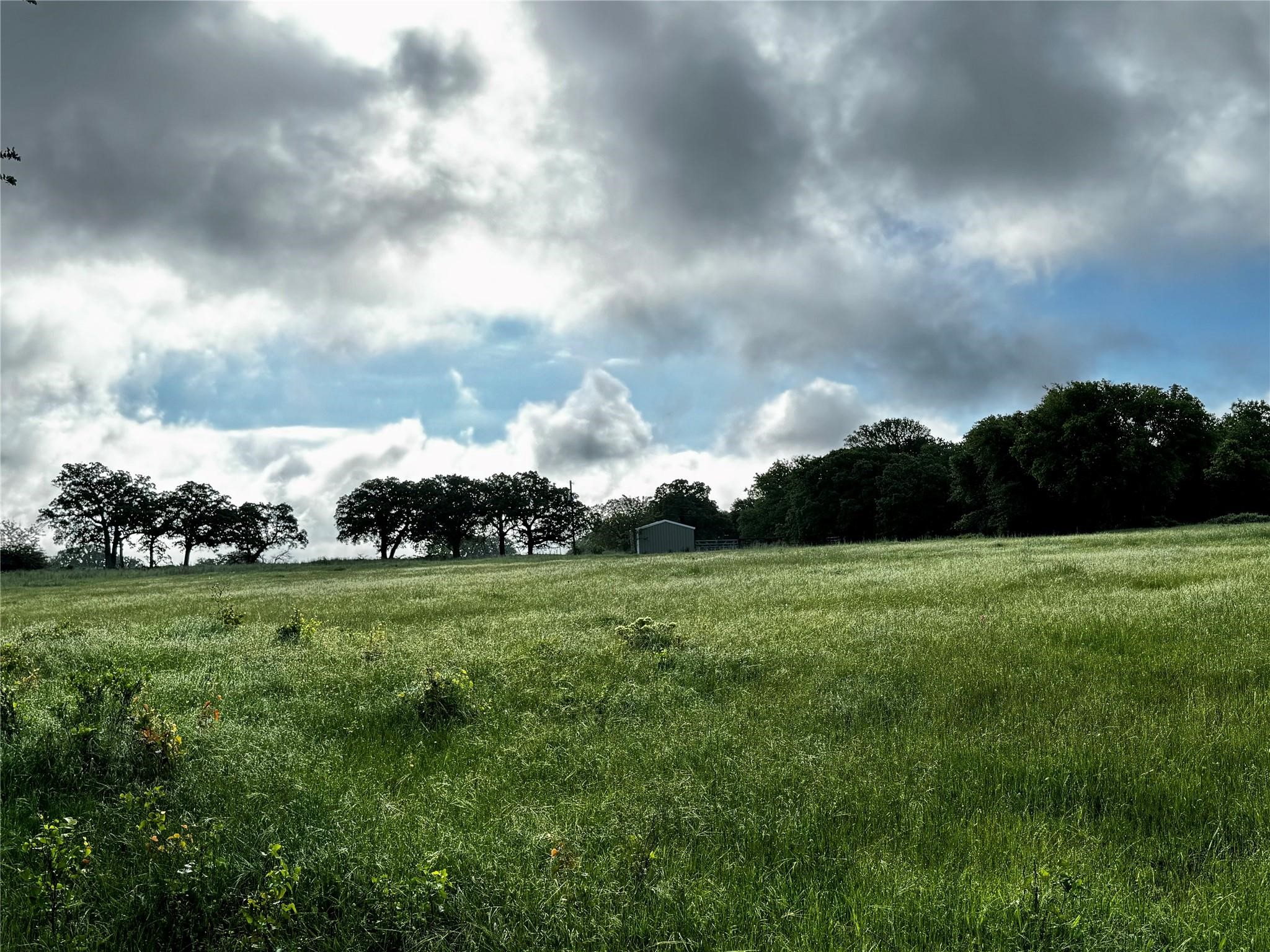 16 Acres Fm 1655 Cr-1460 Chico TX 76431