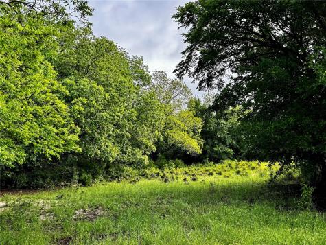 16 Acres Fm 1655 Cr-1460 Chico TX 76431