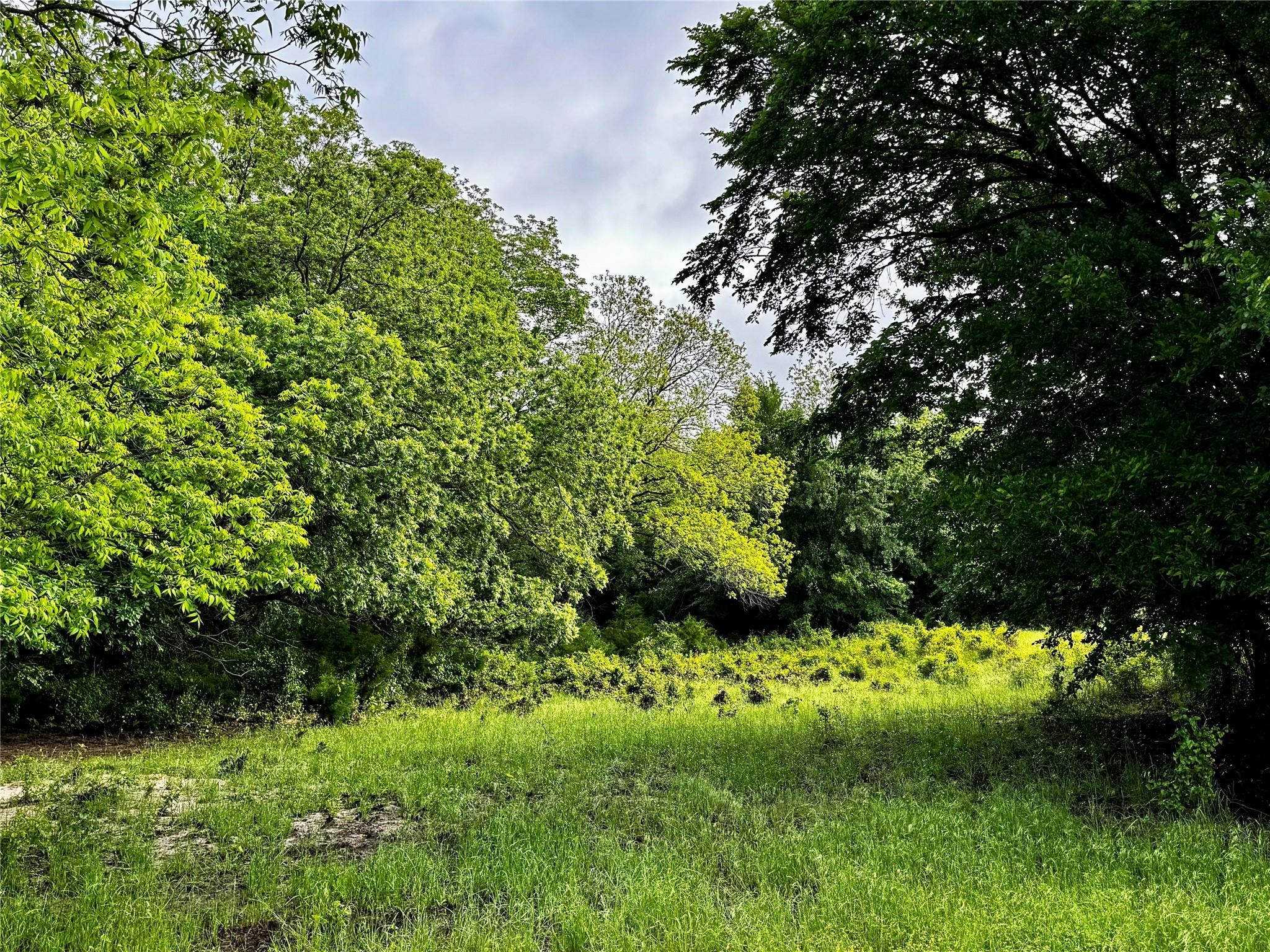 16 Acres Fm 1655 Cr-1460 Chico TX 76431