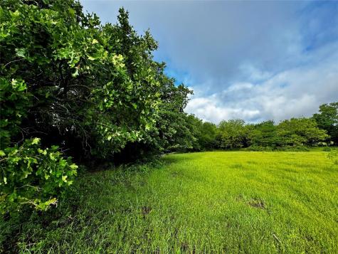 16 Acres Fm 1655 Cr-1460 Chico TX 76431