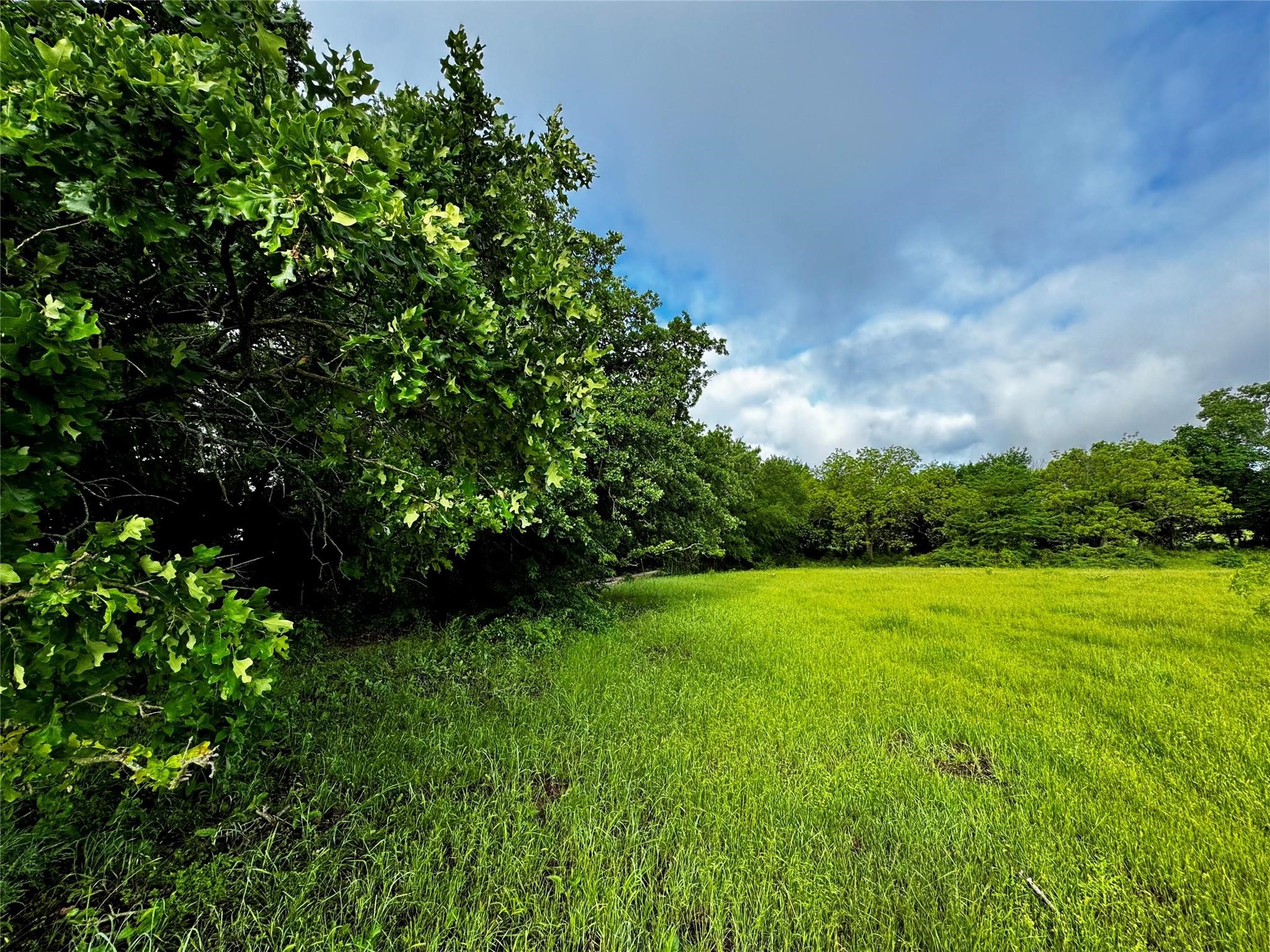16 Acres Fm 1655 Cr-1460 Chico TX 76431
